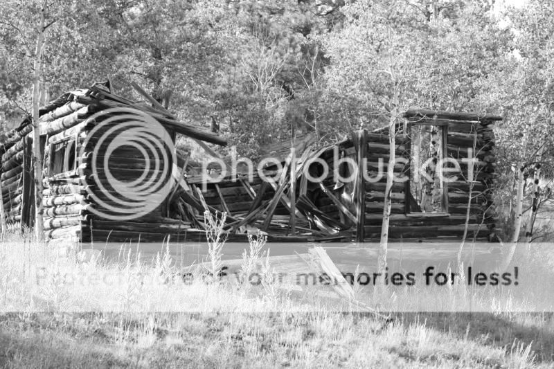 IMAGE: http://i705.photobucket.com/albums/ww53/ephesians320/black%20and%20white/8a3e5678.jpg