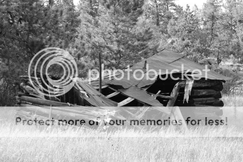 IMAGE: http://i705.photobucket.com/albums/ww53/ephesians320/black%20and%20white/ddfceb20.jpg