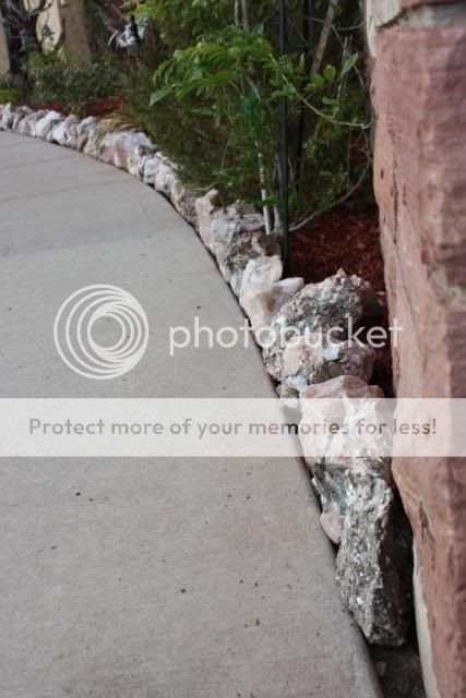 IMAGE: http://i705.photobucket.com/albums/ww53/ephesians320/school%20stuff/school%20stuff%202/IMG_1389.jpg