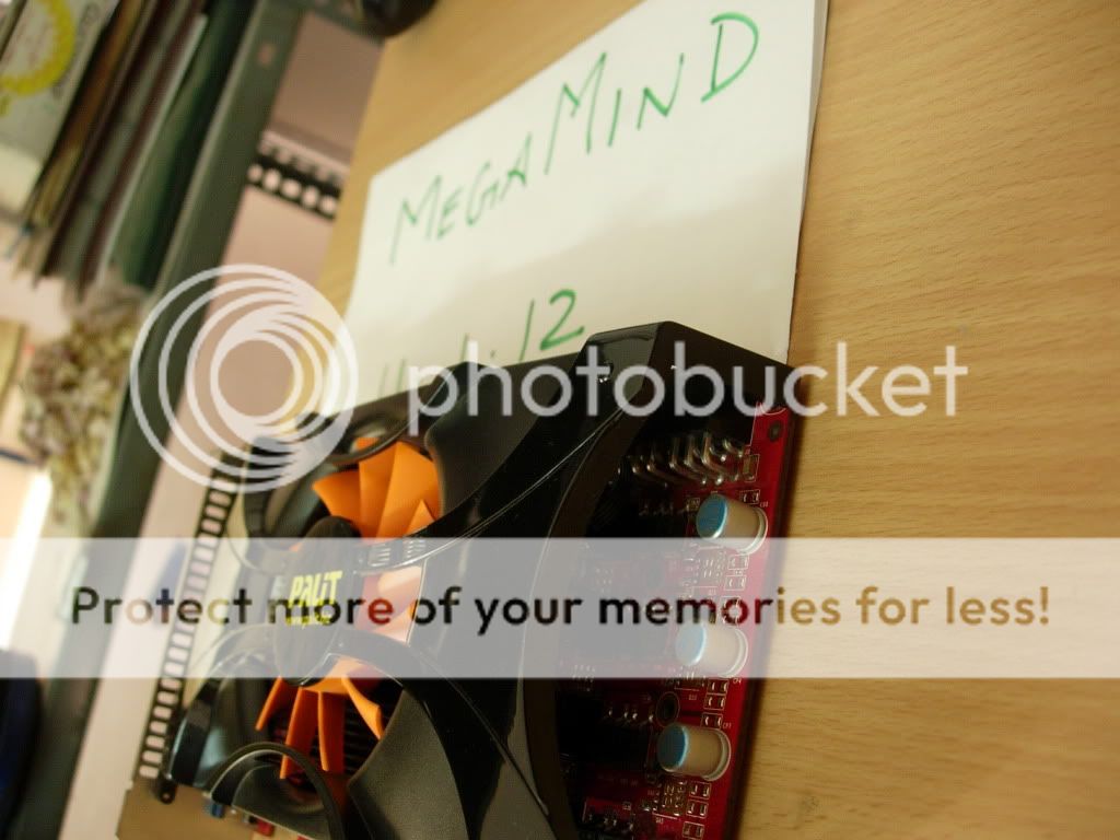 DSCN4852.jpg