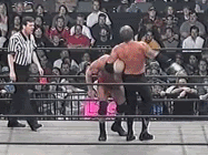 DDP DDT Pictures, Images and Photos