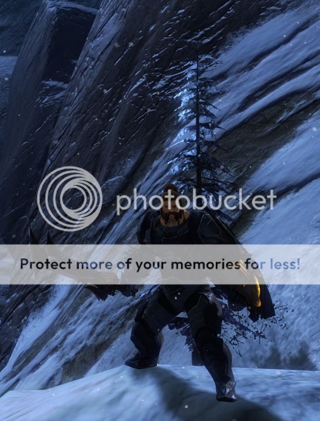 Posted Image
