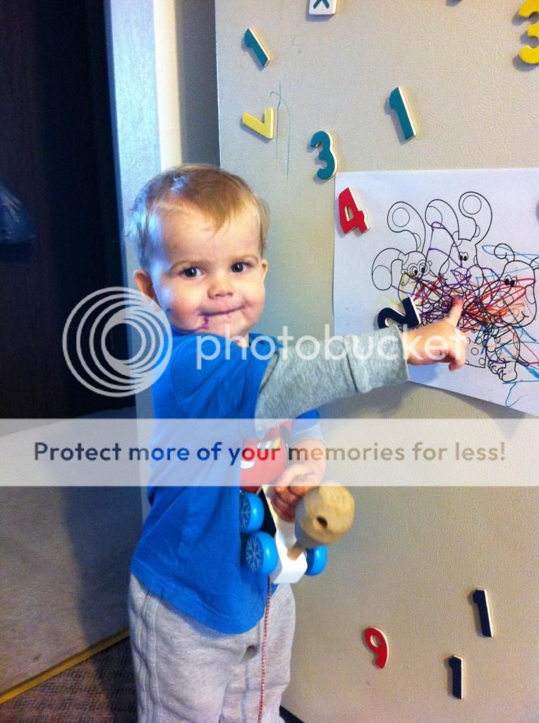 photo IMG_2572_zpsc29b7dc3.jpg
