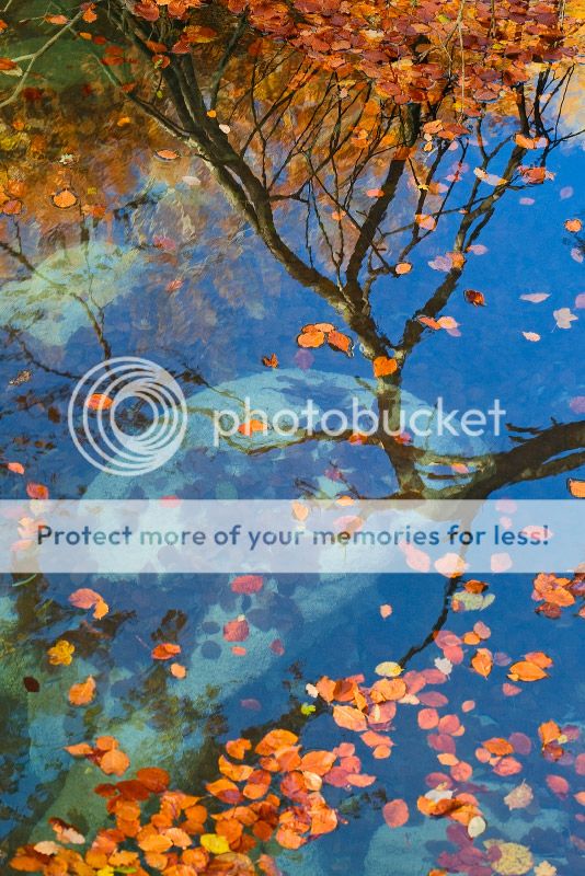 fotos fotos