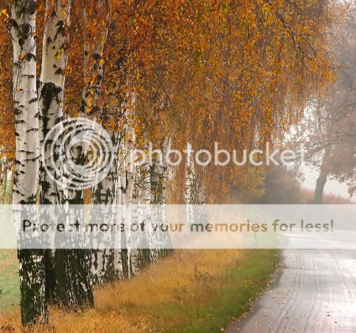 paisajes paisajes