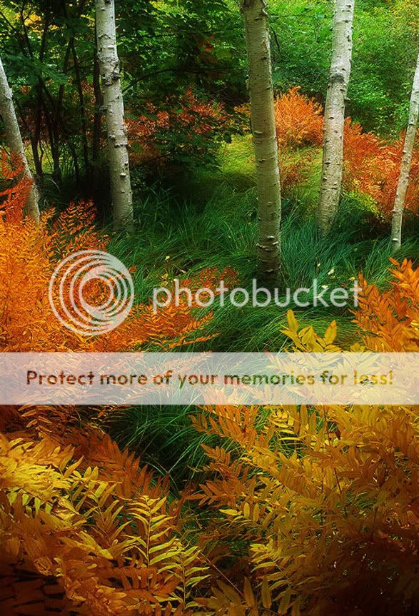 fotos fotos