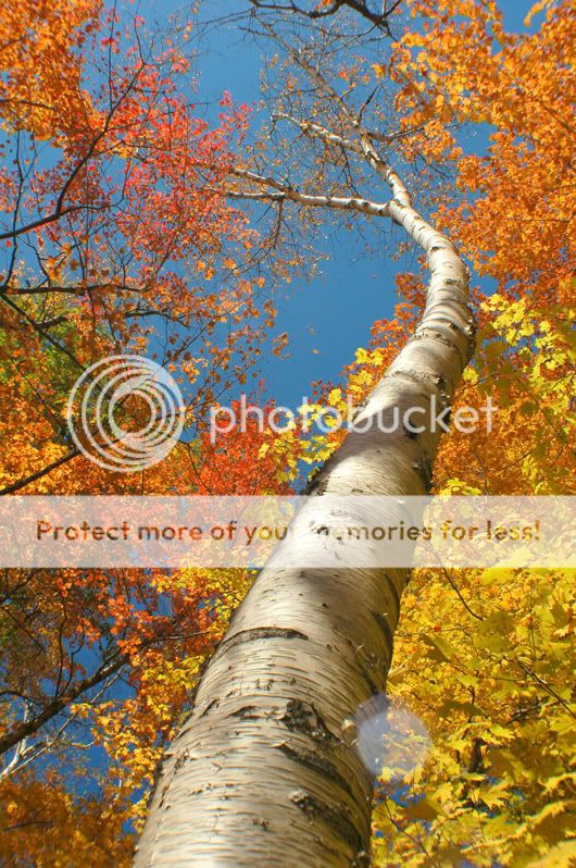Bellas imagenes de otoño Bellas imagenes de otoño