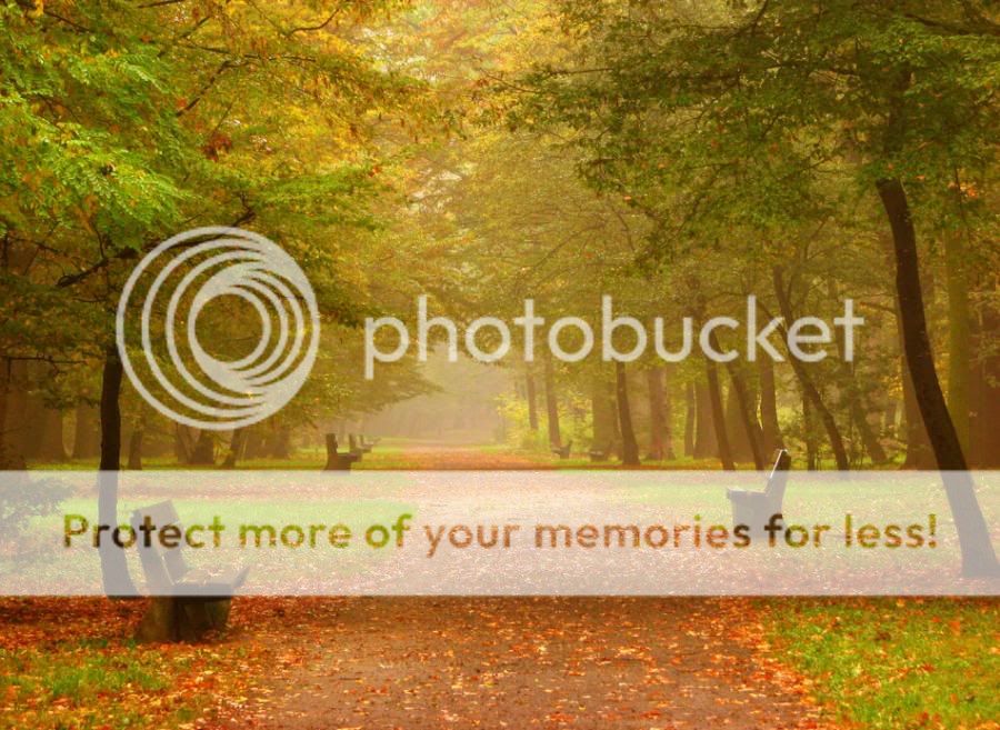 fotos fotos