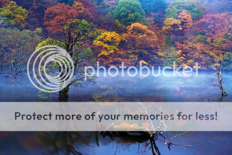 Bellas imagenes de otoño Bellas imagenes de otoño