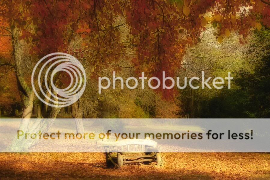 fotos fotos