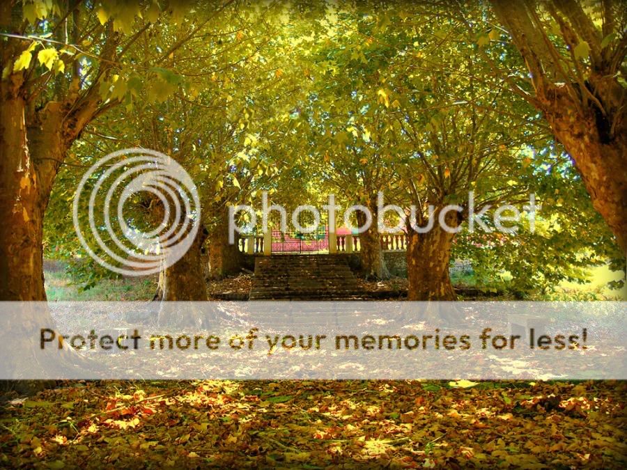 otoño otoño