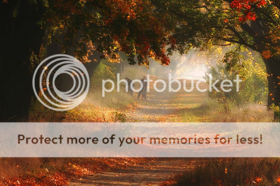 Bellas imagenes de otoño Bellas imagenes de otoño
