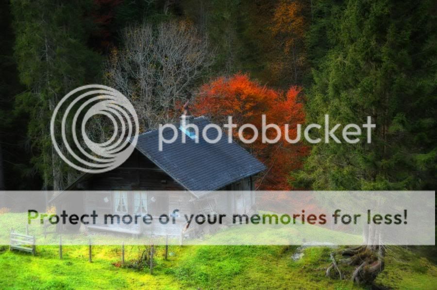 fotos fotos