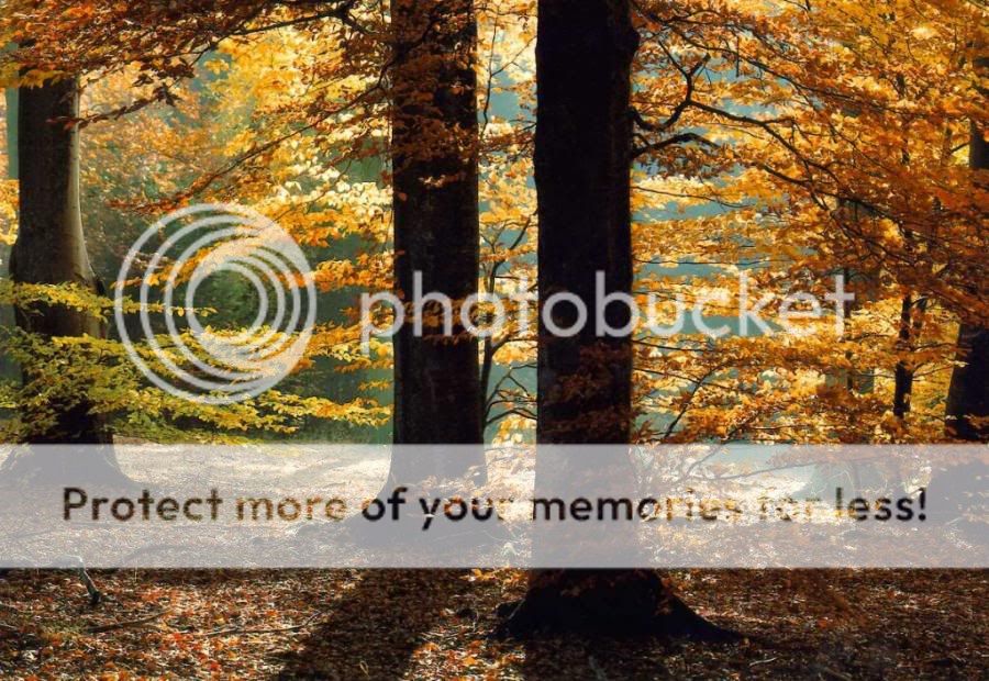 otoño otoño