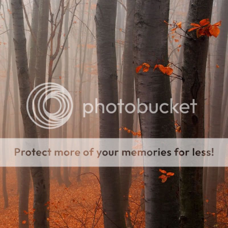 Bellas imagenes de otoño Bellas imagenes de otoño