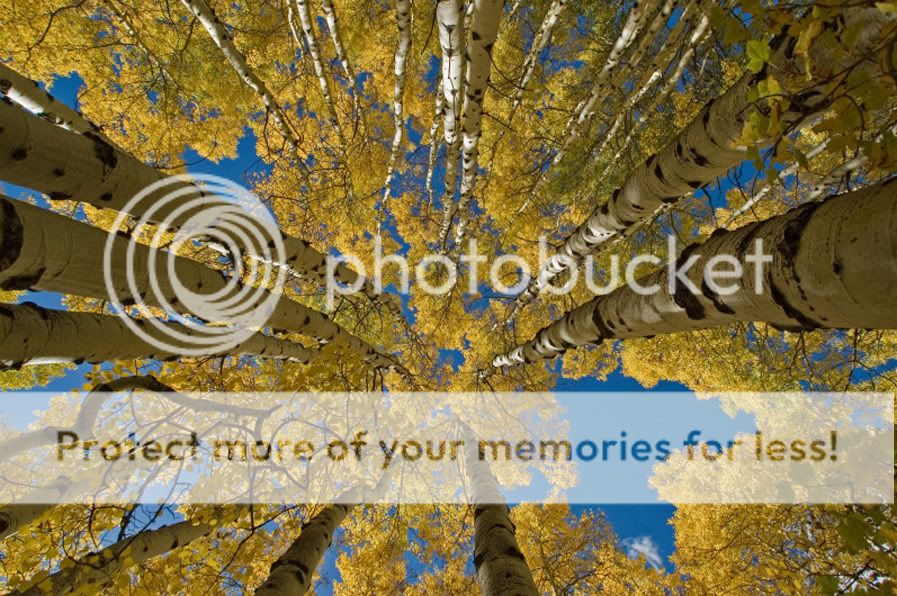 fotos fotos