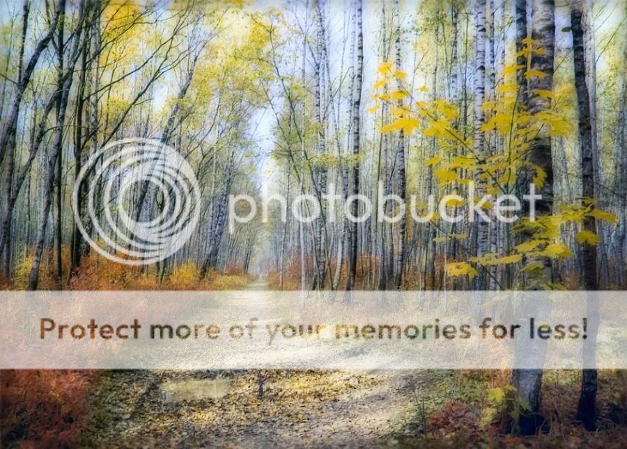 Bellas imagenes de otoño Bellas imagenes de otoño