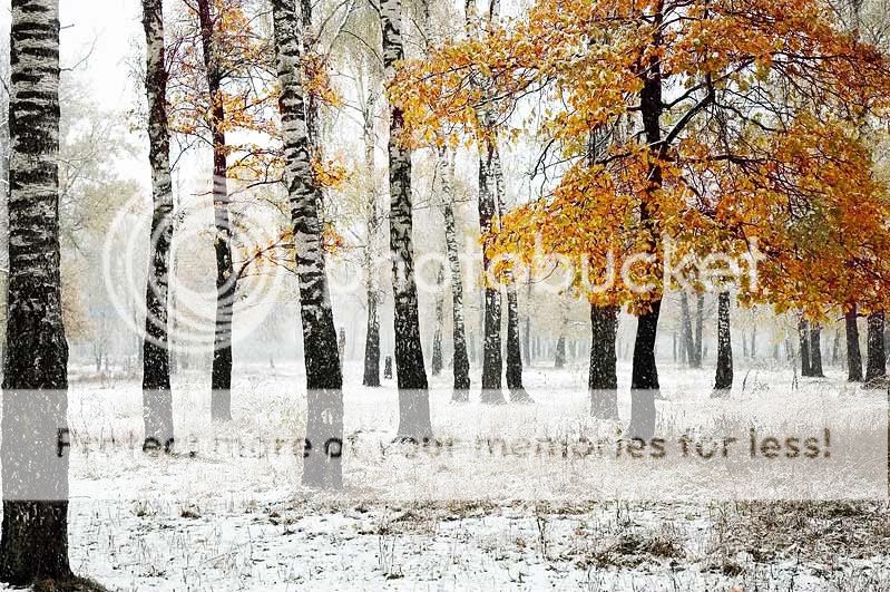 otoño otoño
