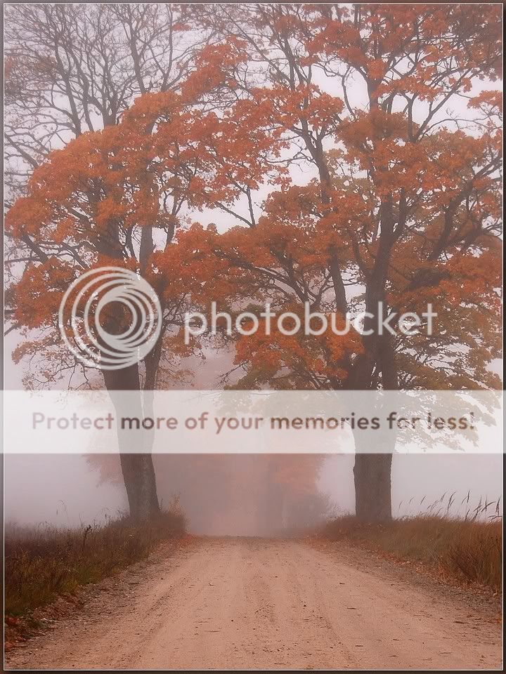 Bellas imagenes de otoño Bellas imagenes de otoño