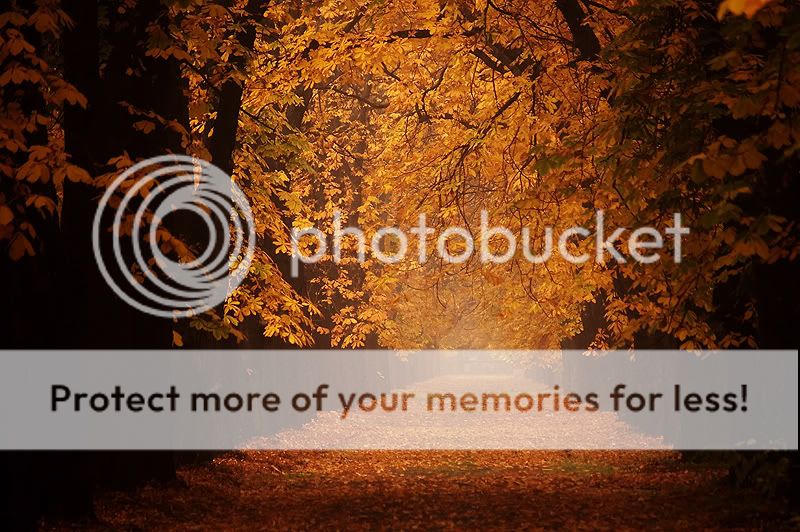 Bellas imagenes de otoño Bellas imagenes de otoño