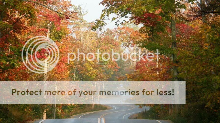 fotos fotos