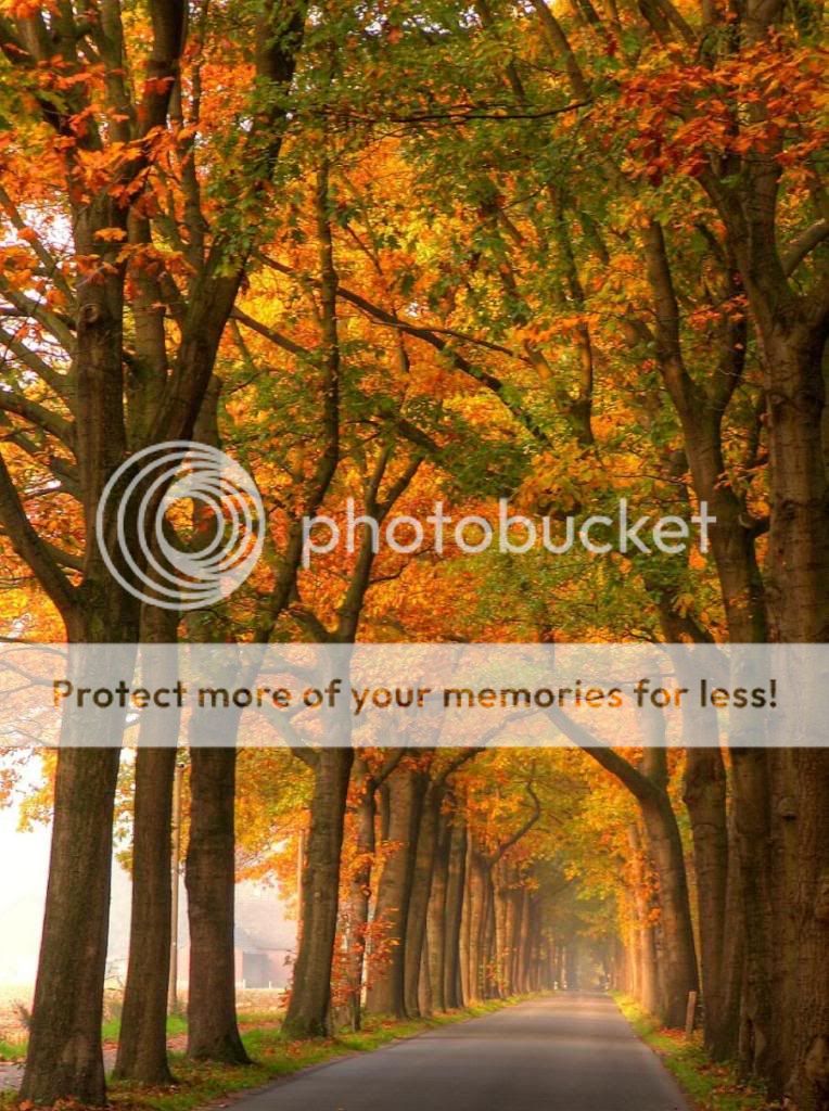 Bellas imagenes de otoño Bellas imagenes de otoño