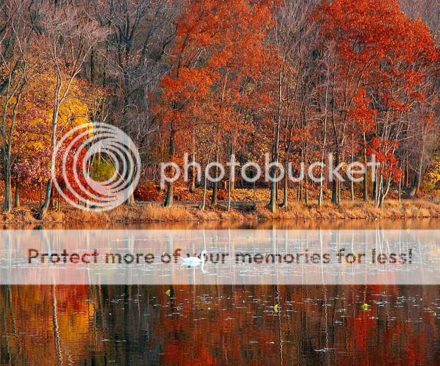 fotos fotos