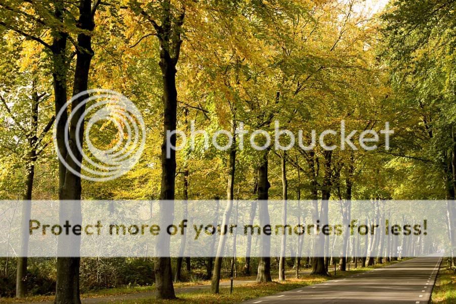 Bellas imagenes de otoño Bellas imagenes de otoño