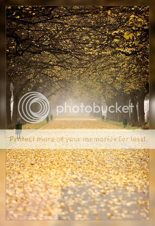 Bellas imagenes de otoño Bellas imagenes de otoño