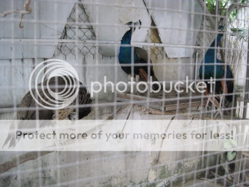 IMG_0592.jpg IMG_0592.jpg