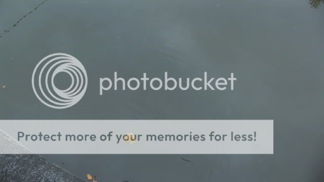 Хайлайн над Яузой: Фото 