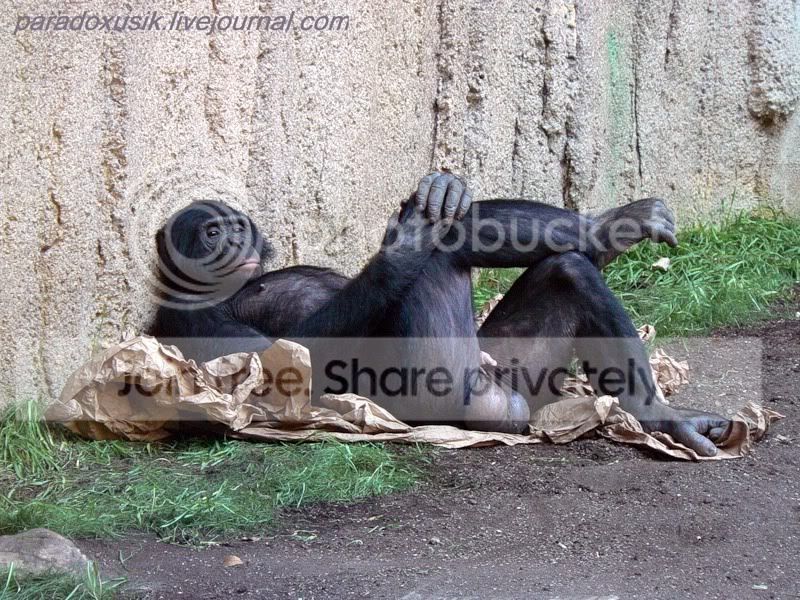ATT00001.jpg