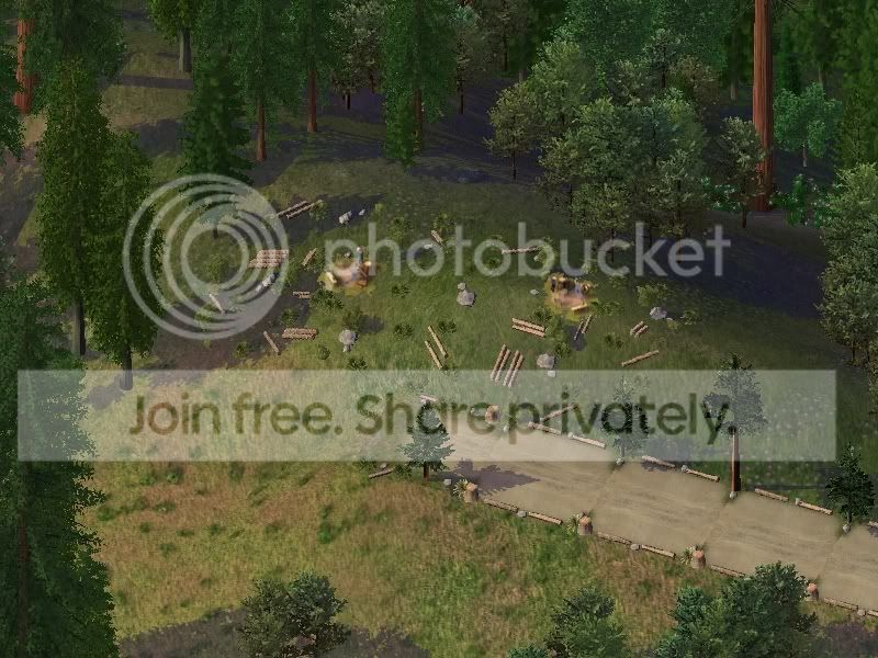 005_06.jpg